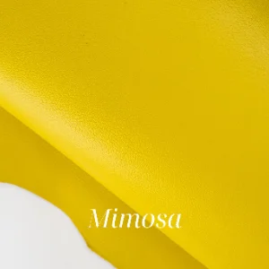 Mimosa