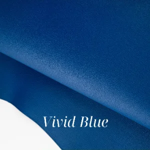 Vivid Blue
