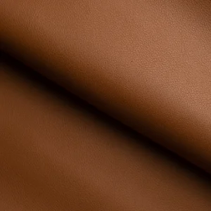 Da Evercolor — bề mặt thật