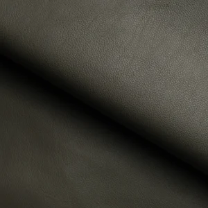 Da Evercolor