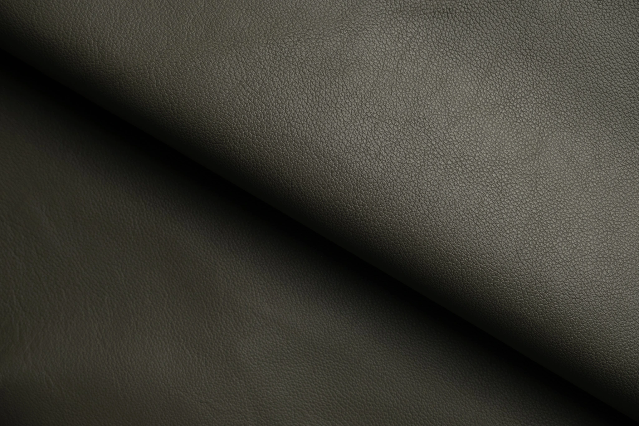 Da Evercolor