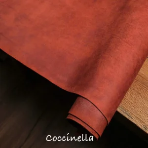 Coccinella