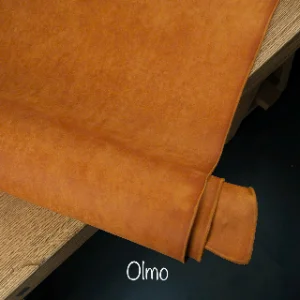Olmo