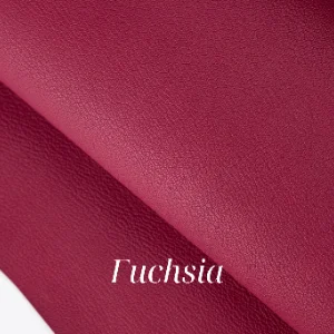 Fuchsia